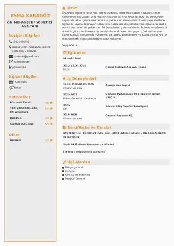 Yönetici Asistanı Cv Örnekleri cv indir